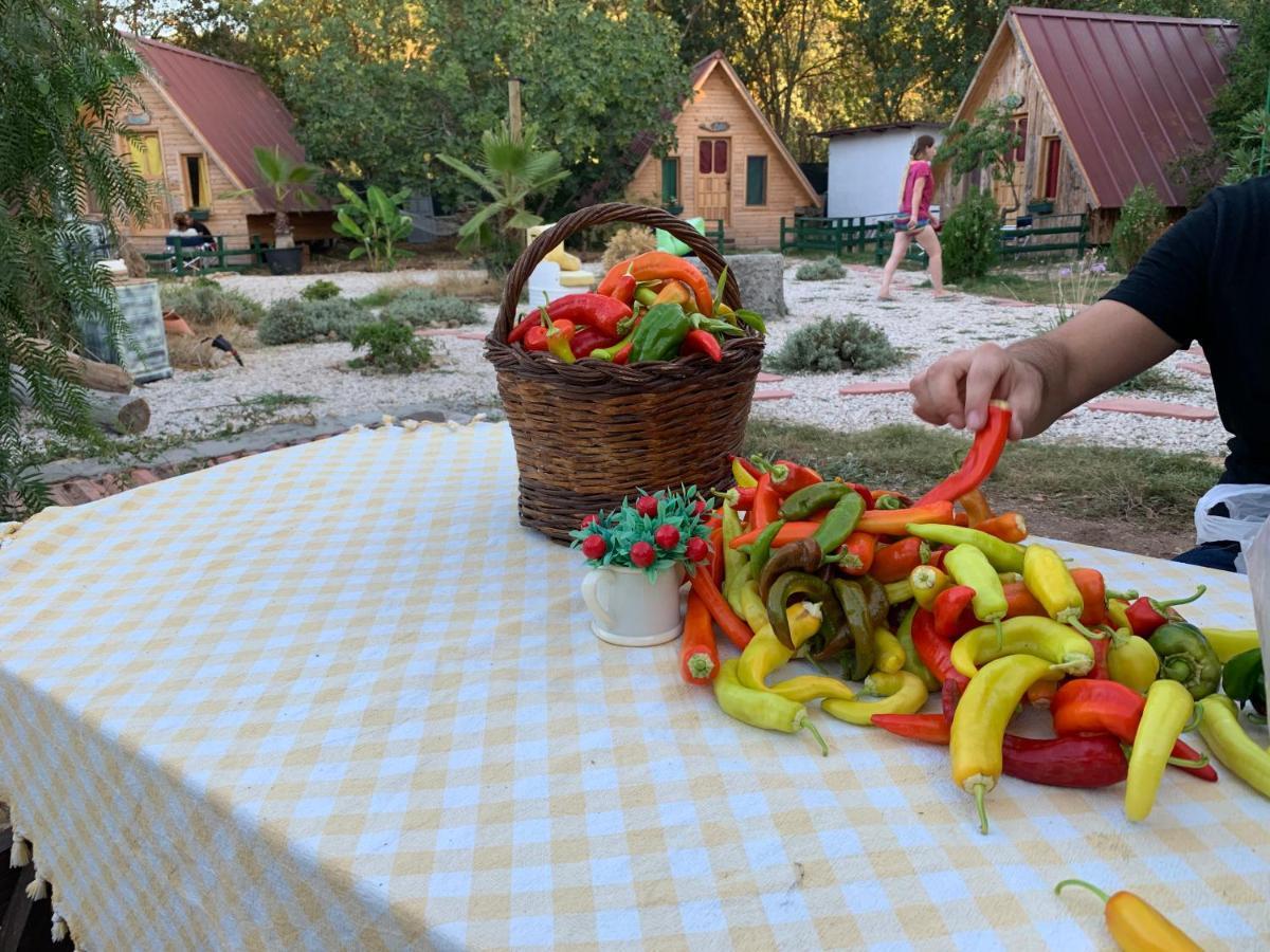 Pusula Bungalow Otel Kayakoy Eksteriør billede